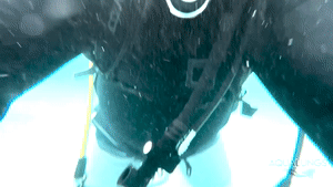 aqualungs50.com - Lex underwater alone time thumbnail